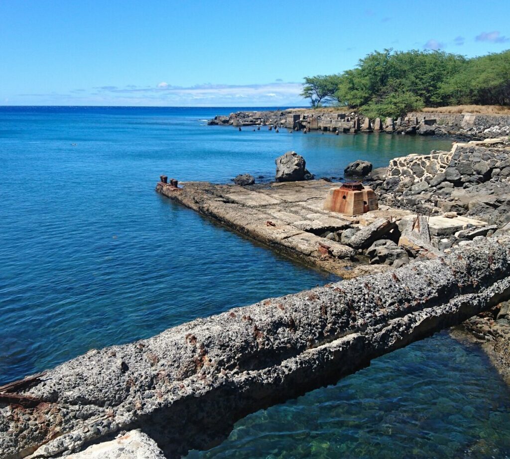 big island snorkeling tours