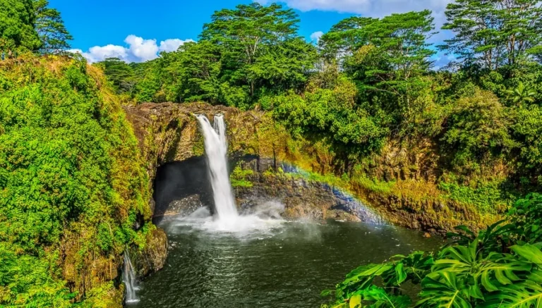 Things to do in hilo hawaii