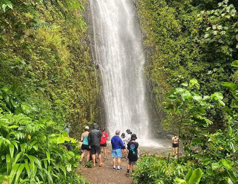 Hike in Manoa Falls - Oahu Hawaii