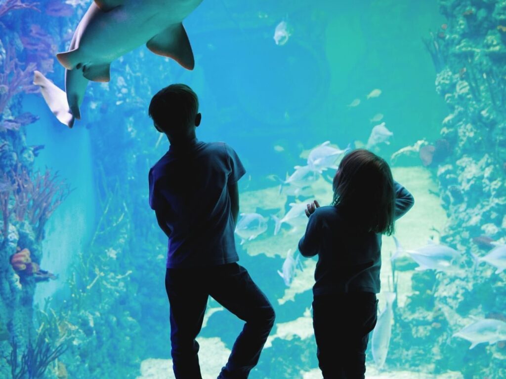 things to do in oahu with kids - Waikiki Aquarium