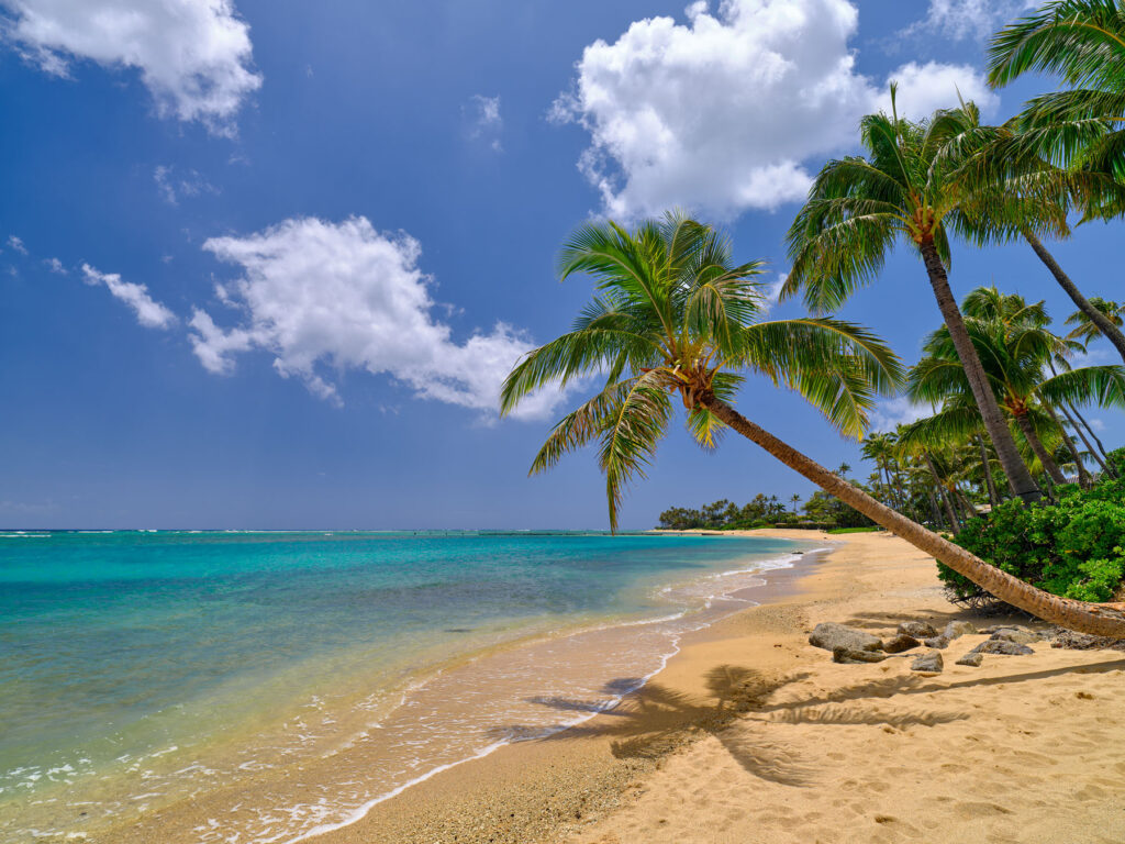 kahala beach oahu hawaii