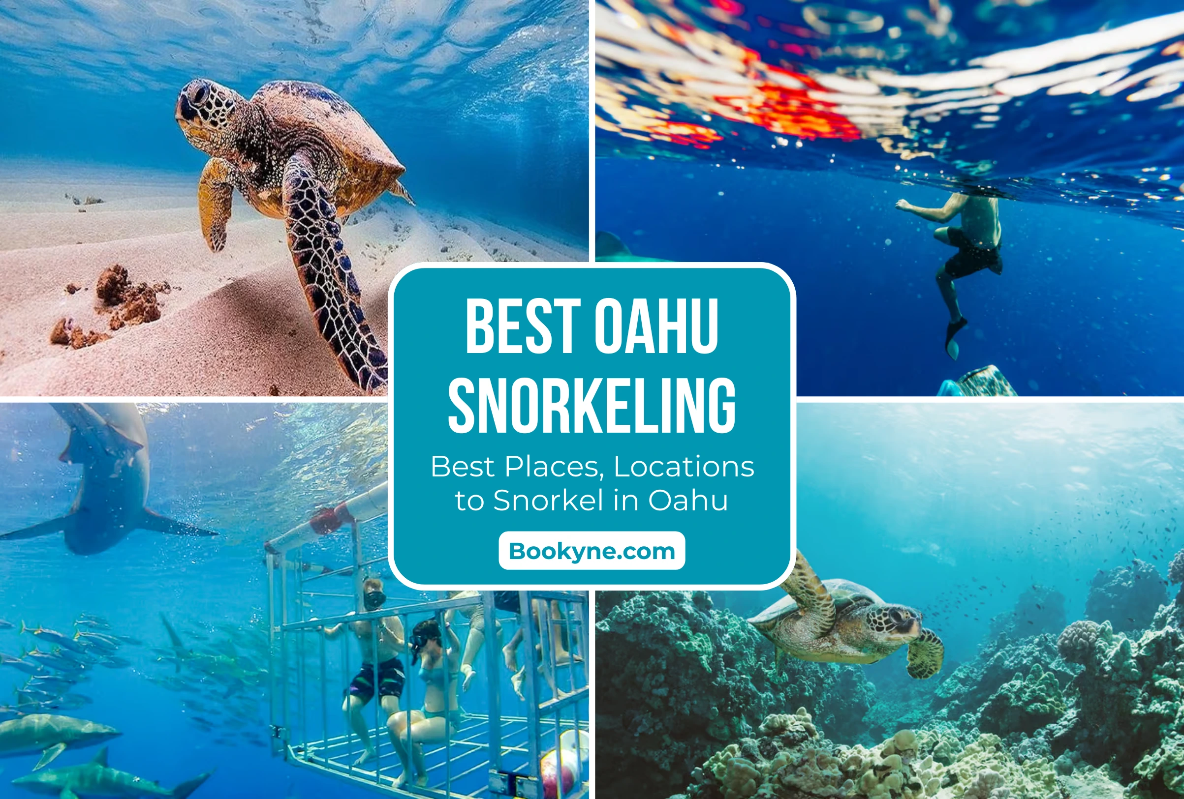 best oahu snorkeling best places to snorkel