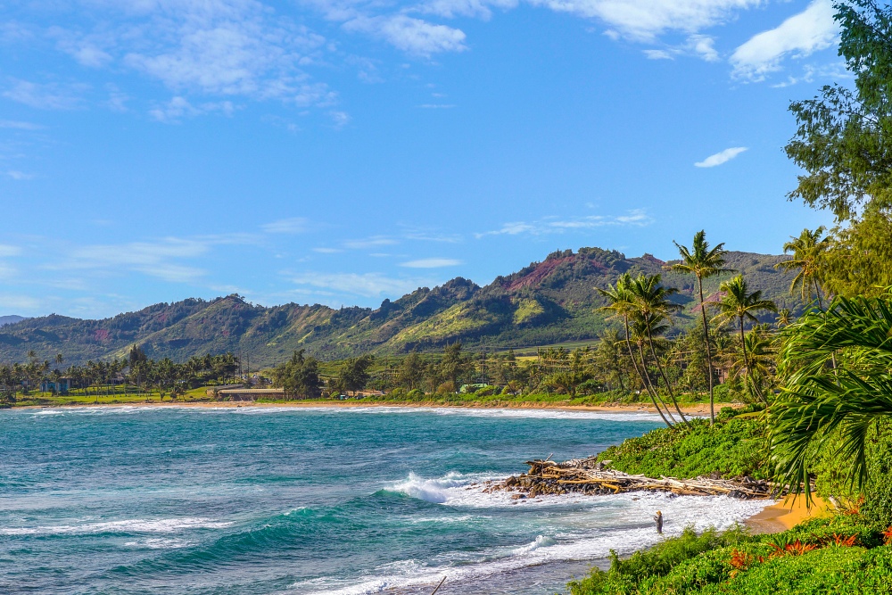 East Side Kauai - Coconut Coast 