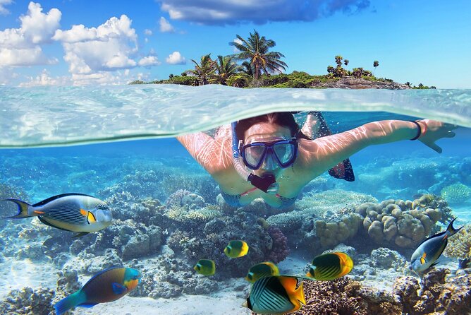 Hanauma Bay Oahu Snorkeling