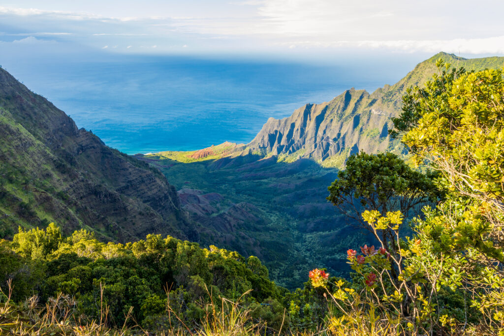 Waimea Canyon
best things to do and see in kauai