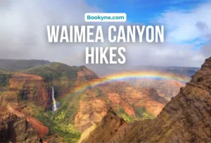 Waimea Canyon Hikes