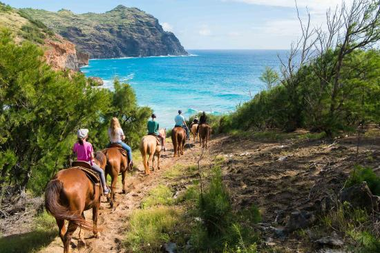 Horseback Riding at CJM Country Stables - things to do in kauai with kids