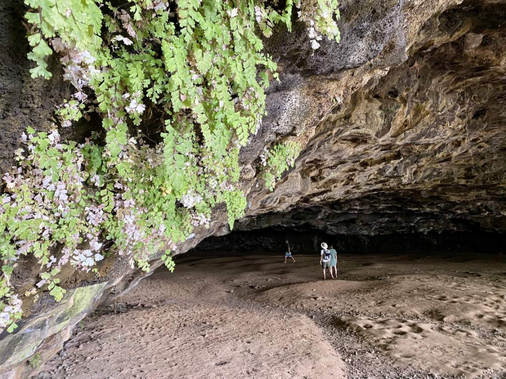 Maniniholo Dry Cave - Things to do in kauai with kids