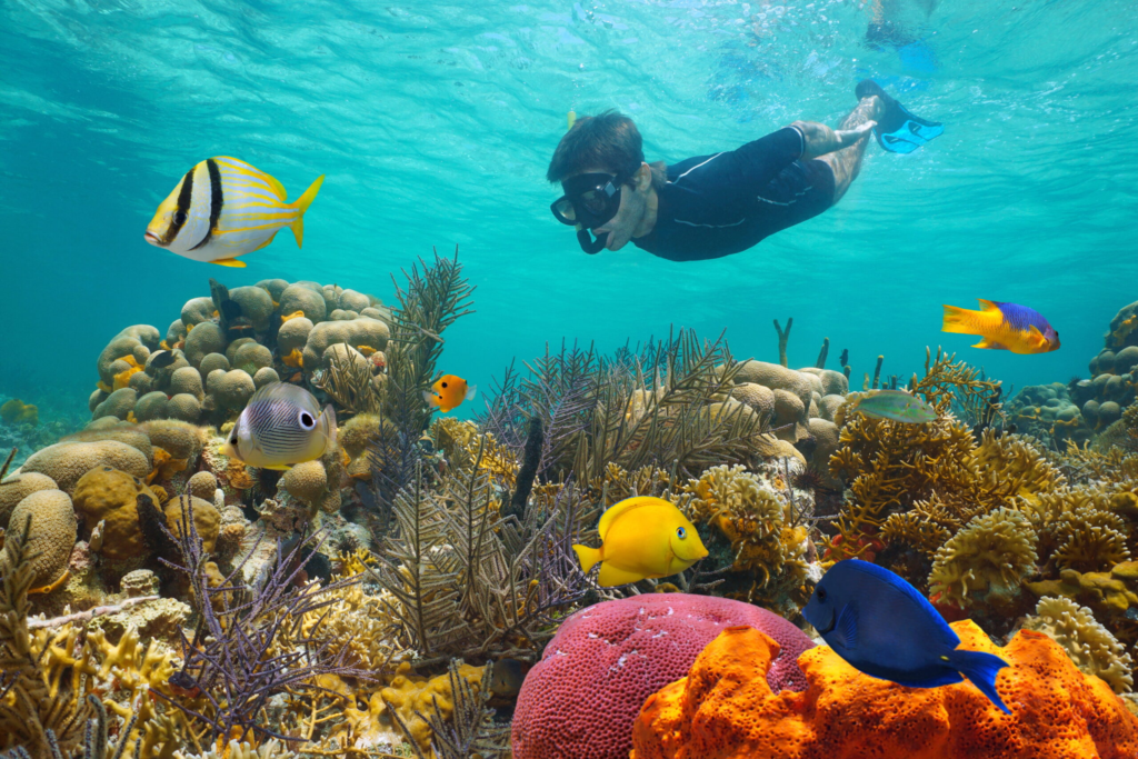 Snorkeling at Lydgate Beach - Things to do in kauai with kids