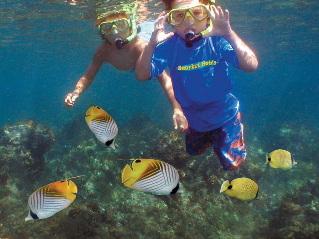 Snorkeling at Kaapa Kauai