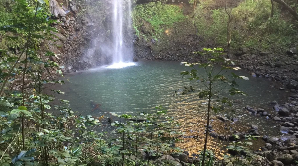 secret falls kauai waterfalls