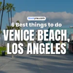 6 Best Things to Do in Venice Los Angeles