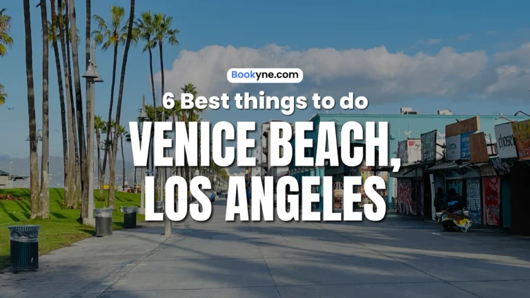 6 Best Things to Do in Venice Los Angeles
