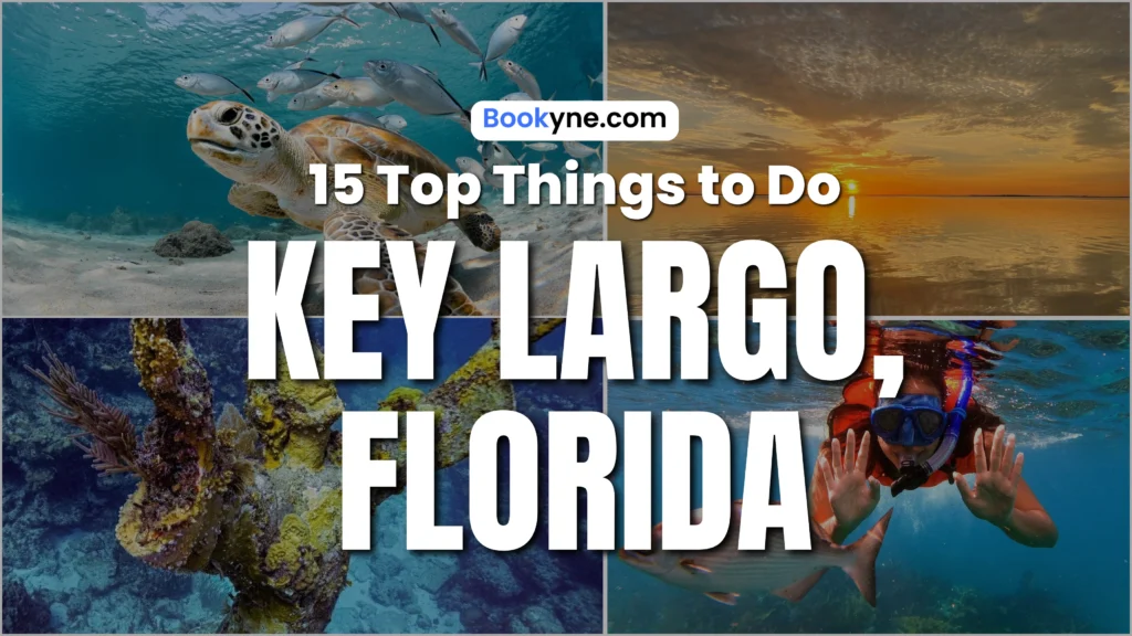 15 Best Attractions & Things to Do in Key Largo