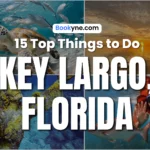 15 Best Attractions & Things to Do in Key Largo