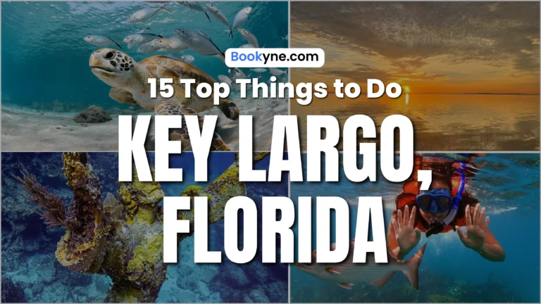 15 Best Attractions & Things to Do in Key Largo
